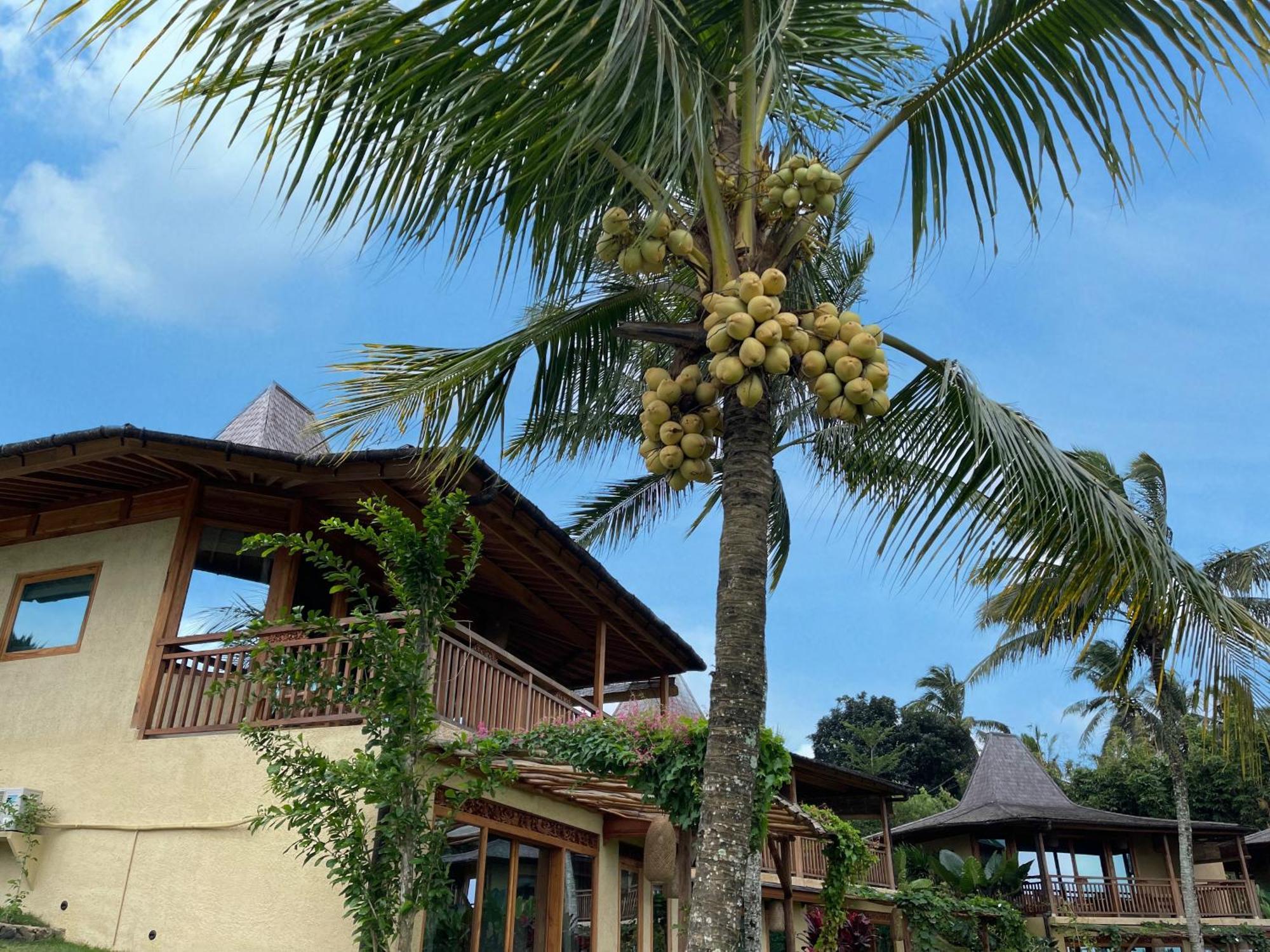 Puri Dajuma Terrace Eco Lodge & Spa Selemadeg  Extérieur photo