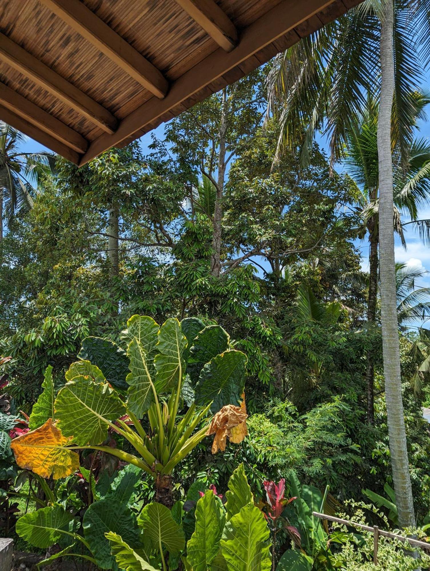 Puri Dajuma Terrace Eco Lodge & Spa Selemadeg  Extérieur photo