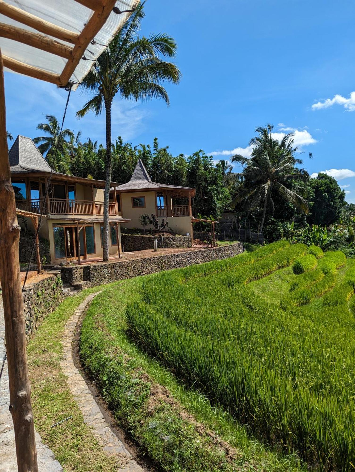 Puri Dajuma Terrace Eco Lodge & Spa Selemadeg  Extérieur photo